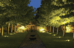LED garden spike lights illuminating a lush green garden at night.