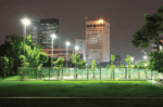 LED modular flood light illuminating a city park at night.